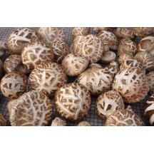 盛耳 花菇250g 香菇干货蘑菇干香菇冬菇营养菌菇菌类干货食材特产