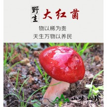 红菇干货500g福建武夷山正宗野生红椎菌香菇红蘑菇菌菇干货月子菇